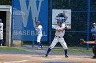 Baseball vs Babson  Wheaton College Baseball vs Babson during Championship game of the NEWMAC Championship hosted by Wheaton. - (Photo by Keith Nordstrom) : Wheaton, baseball, NEWMAC